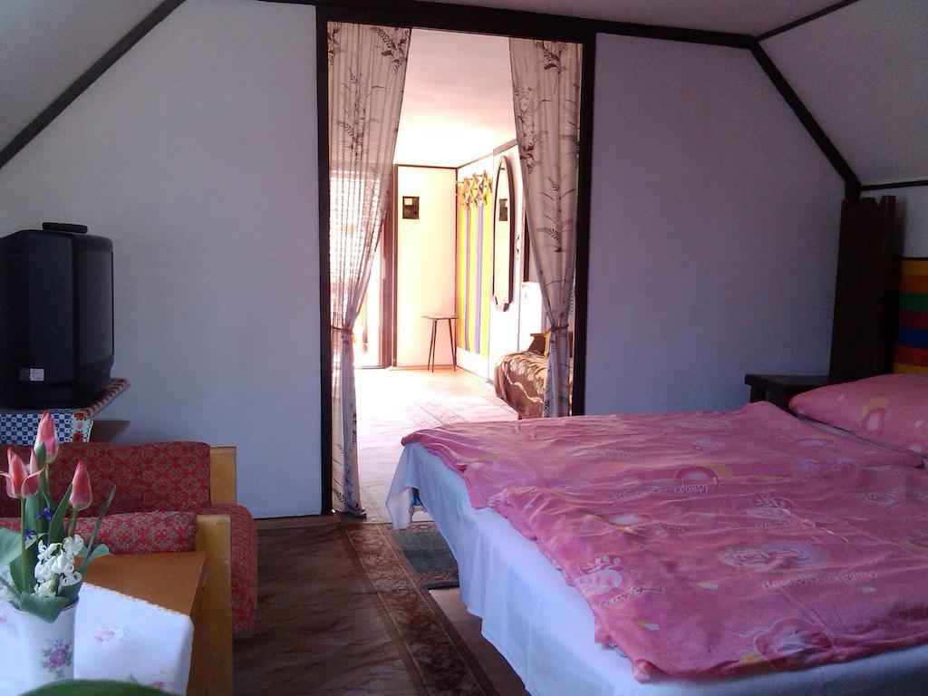 Zach Klara Utcai Apartman Visegrad Bilik gambar